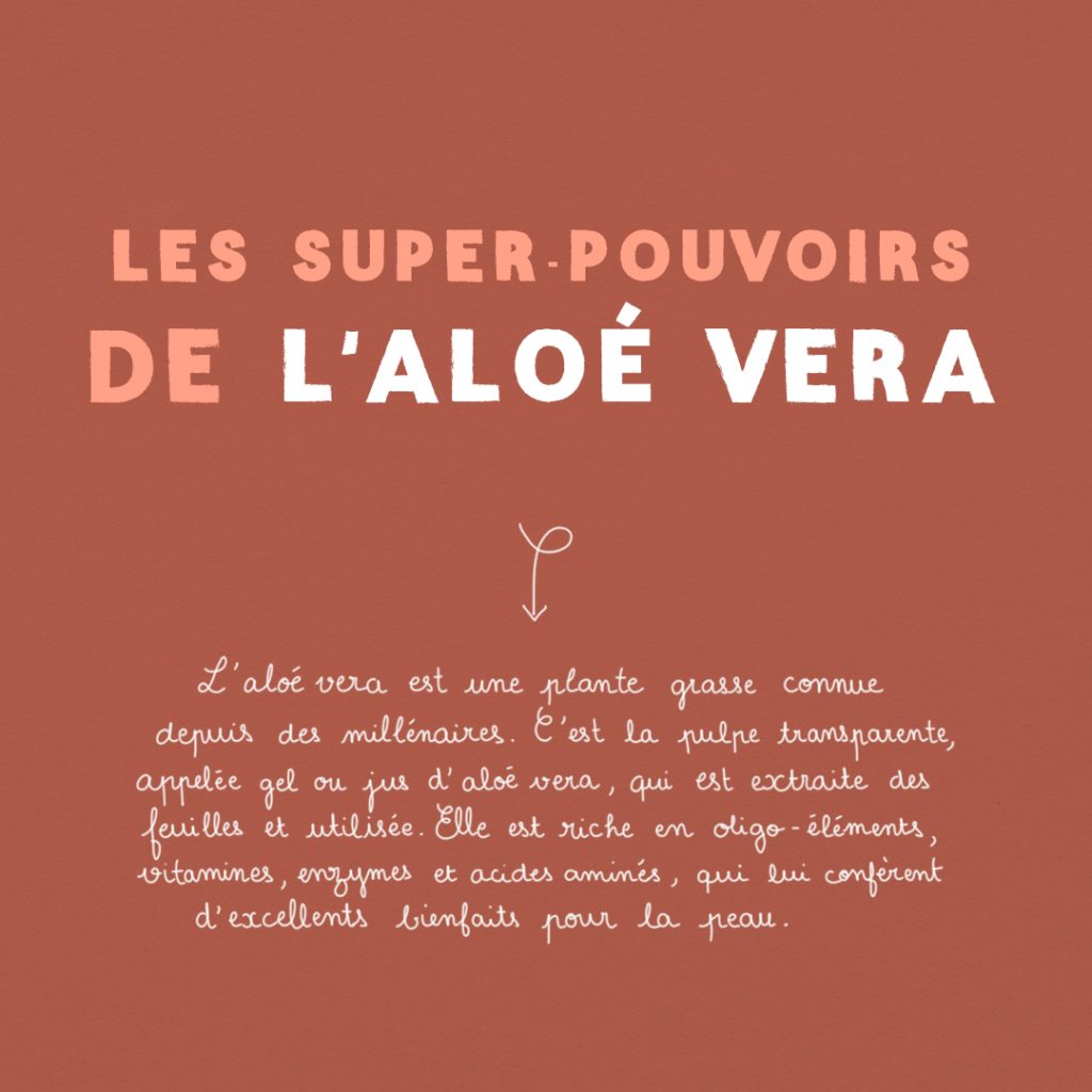 Guide : Les super-pouvoirs de l’aloe vera slide 