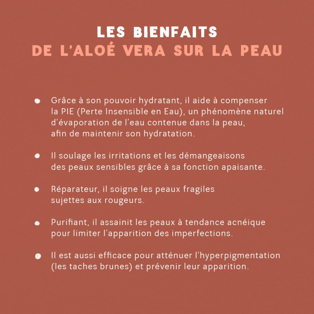 Guide : Les super-pouvoirs de l’aloe vera slide 1