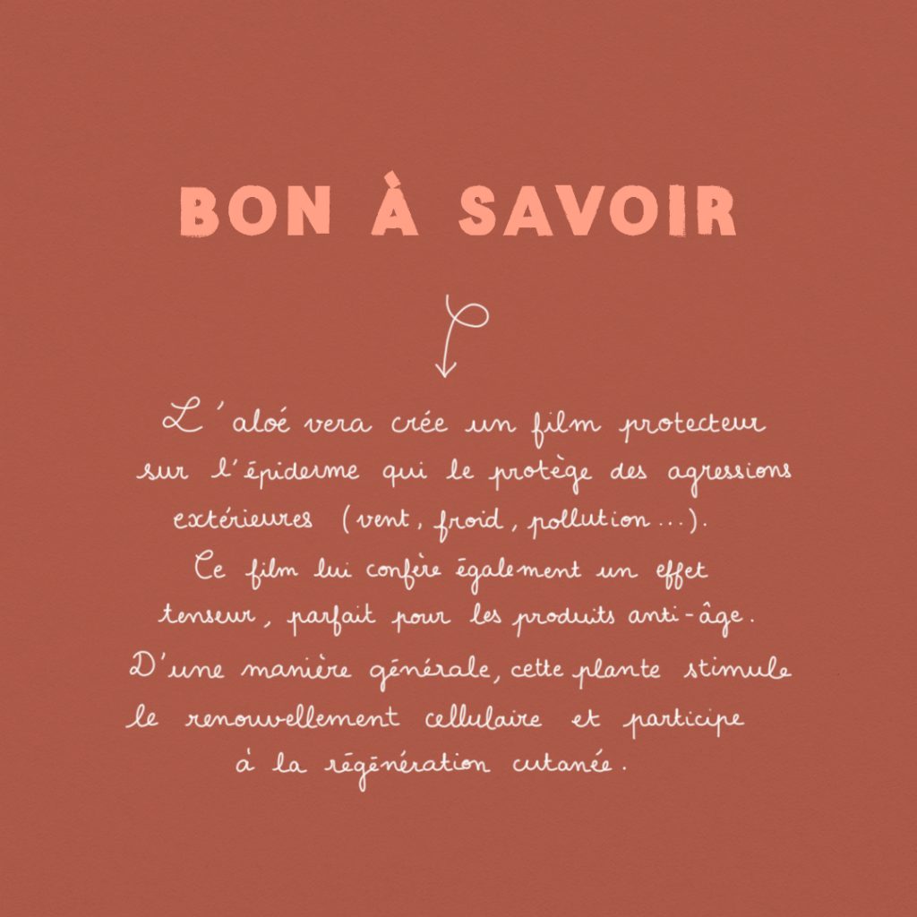 Guide : Les super-pouvoirs de l’aloe vera slide 2