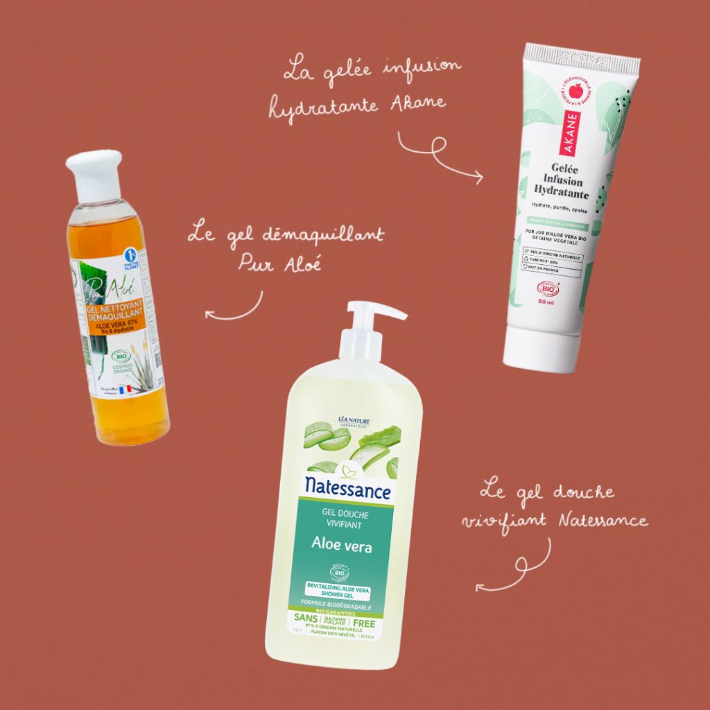 Guide : Les super-pouvoirs de l’aloe vera slide 6