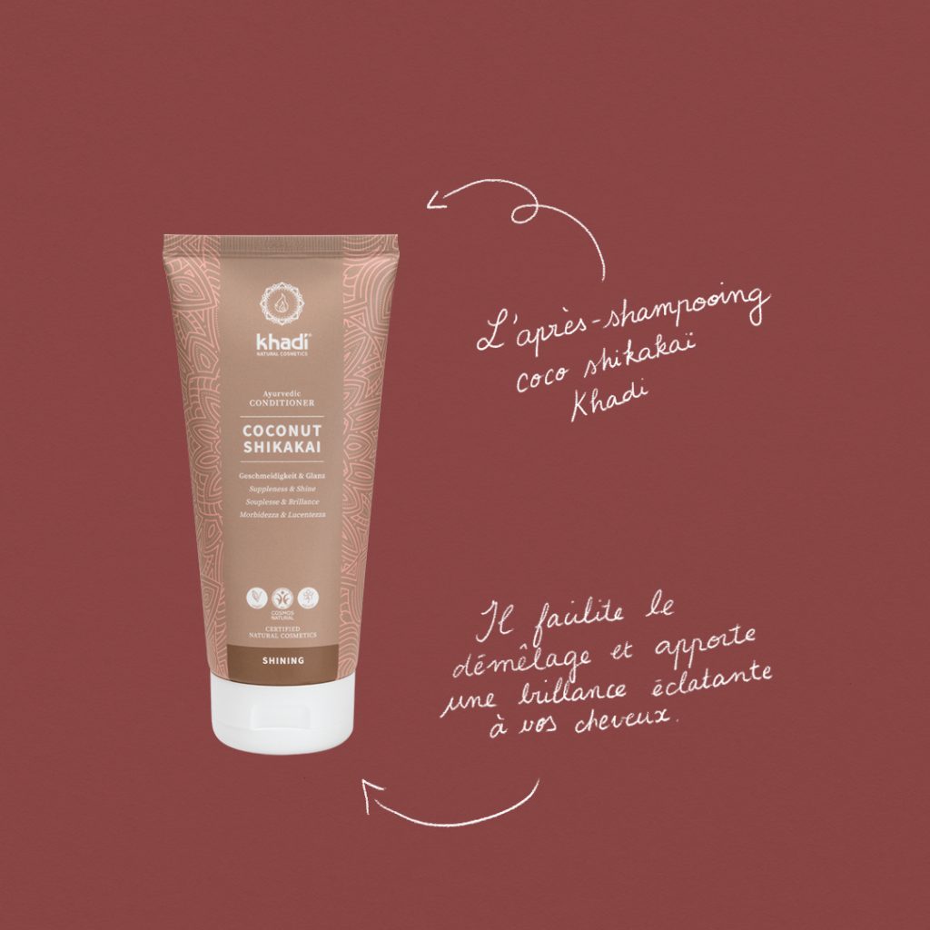 Guide : Les supers-pouvoirs du skikakaï slide 4