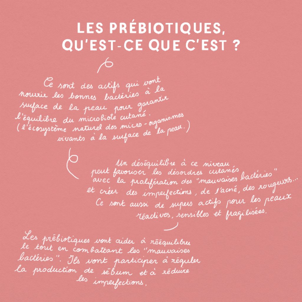 Guide : Les prébiotiques pour la peau slide 1