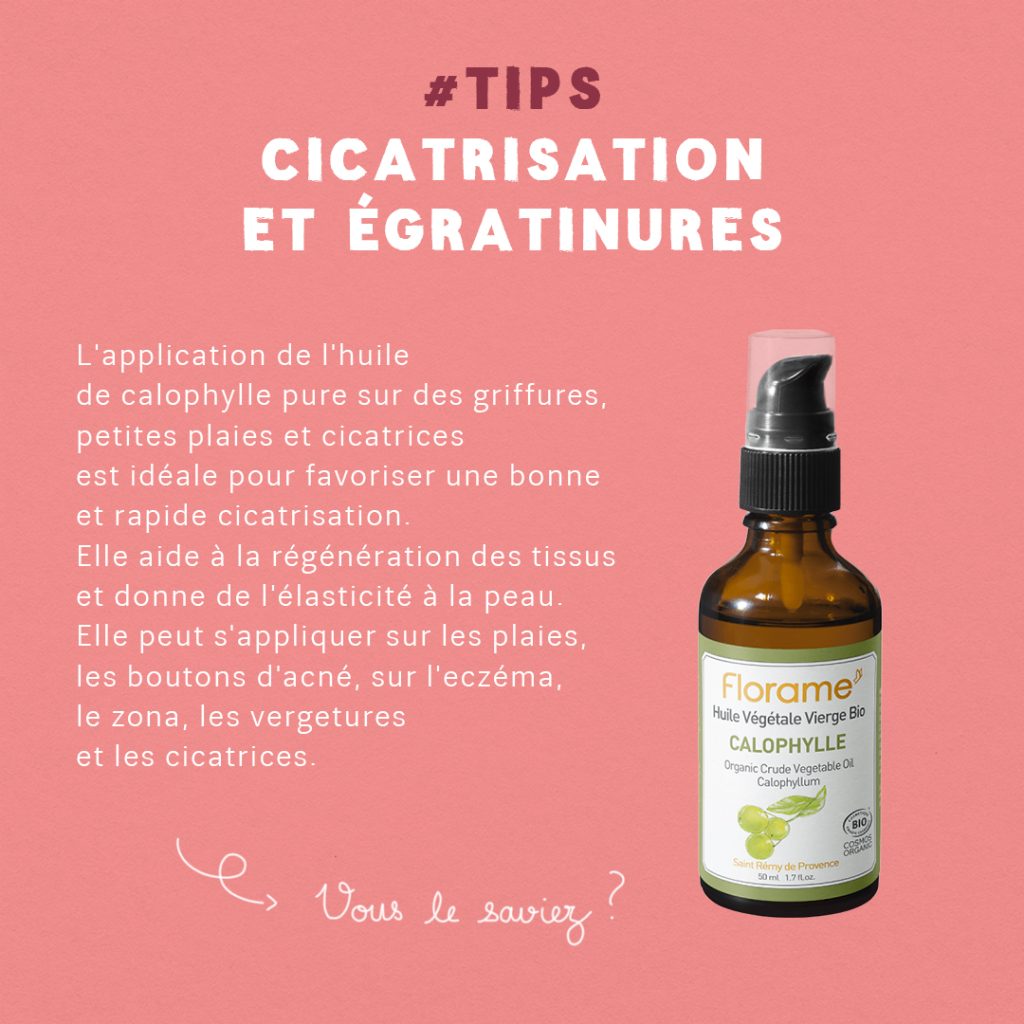 Guide : La cicatrisation slide 