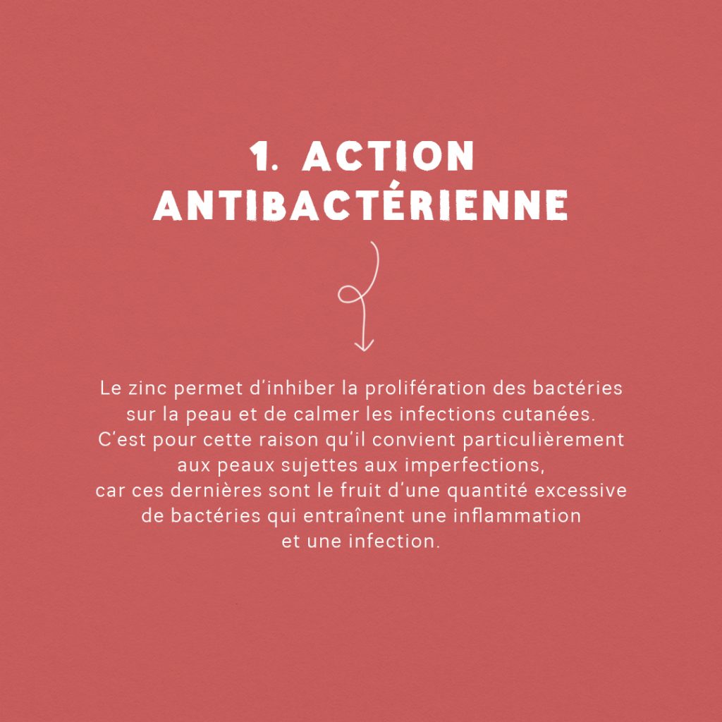 Guide : Les supers-pouvoirs du zinc slide 2