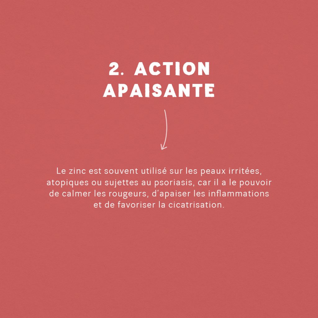 Guide : Les supers-pouvoirs du zinc slide 3