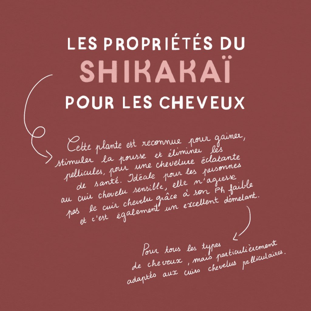 Guide : Les super-pouvoirs du shikakaï slide 1