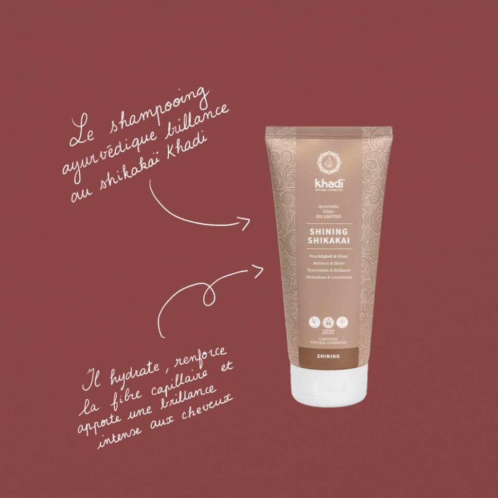 Guide : Les super-pouvoirs du shikakaï slide 3