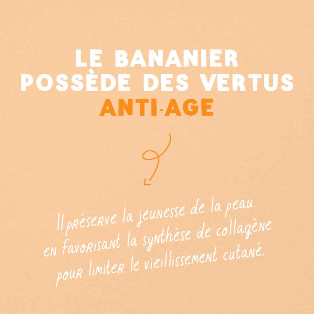 Guide : Les super pouvoirs de la banane slide 2