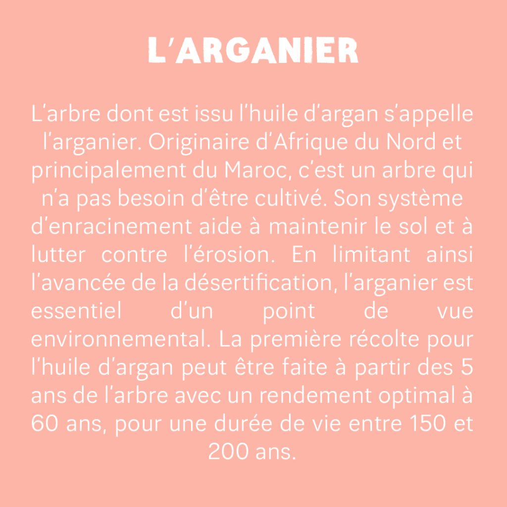 Guide : L’huile d’argan slide 2