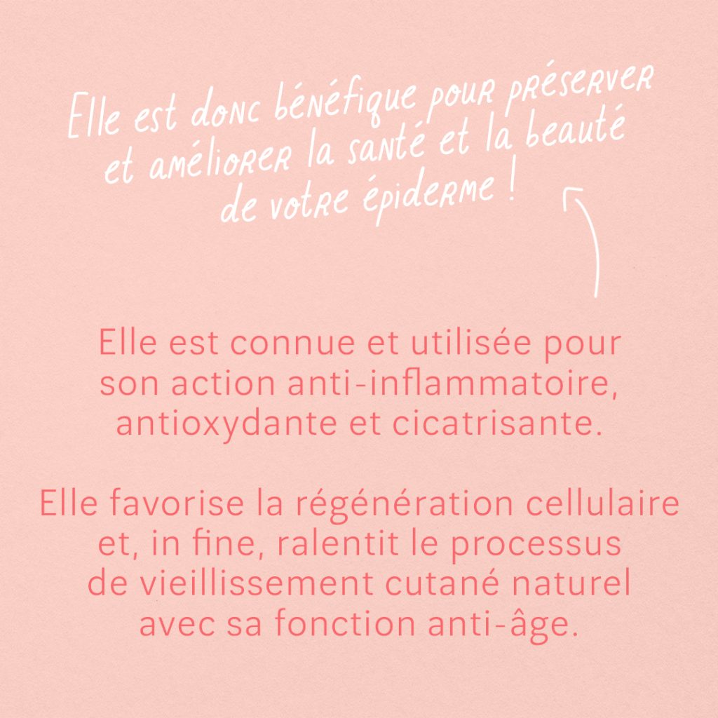 Guide : Qu’est-ce que le CBD ? slide 2