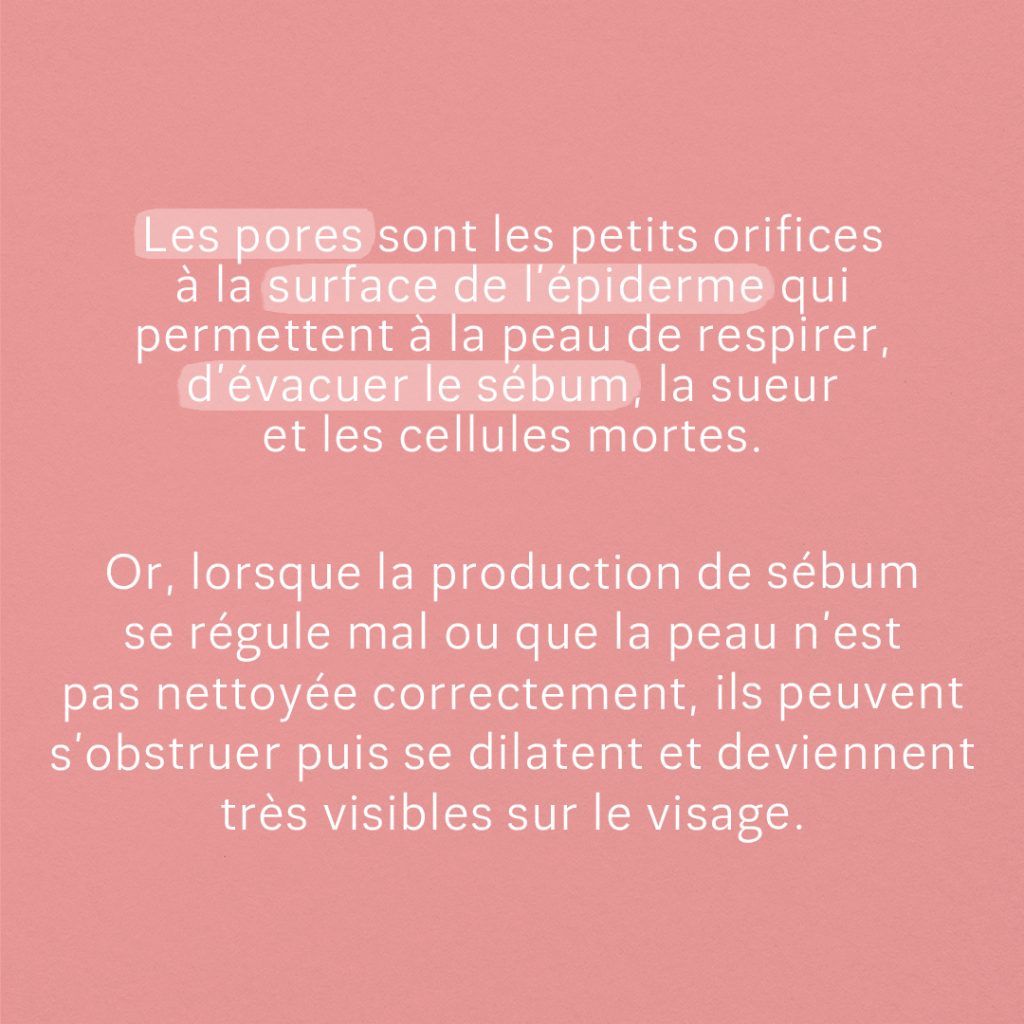 Guide : Comment remédier aux pores dilatés ? slide 2