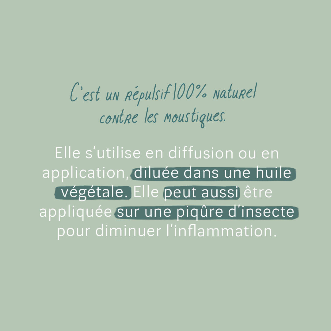 description huile essentielle citronnelle florame