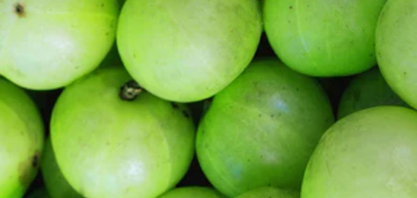 Amla : Secret ayurvédique pour des cheveux sublimes et une beauté naturelle