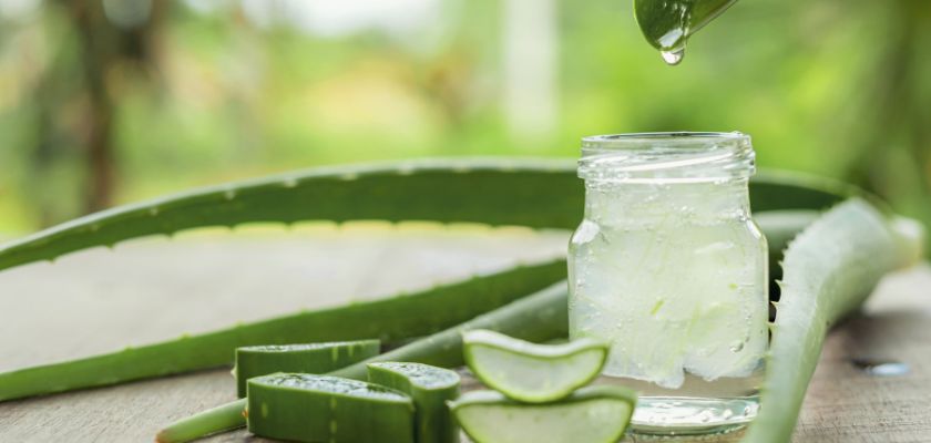 L’aloe vera, un actif cosmétique star aux mille vertus